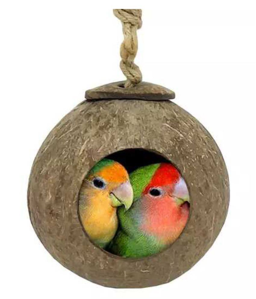 Coconut shell bird nest for finches and sparrows round organic bird 