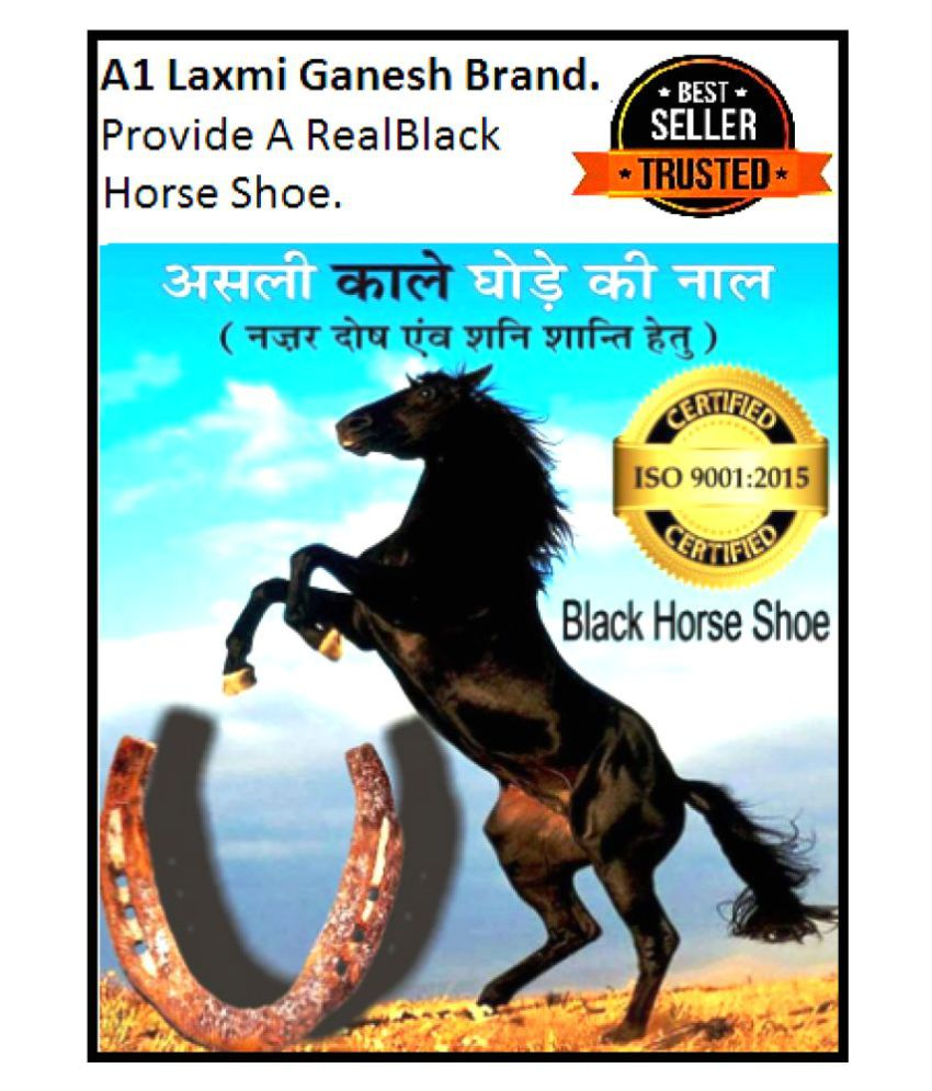     			Kale Godhe ki naal/Black Horse Shoe/ghore ki naal/Horse Shoe for Good Luck/Naal to Protect Your Home/Office from Evil Eyes,(Brown) A1 Laxmi Ganesh.