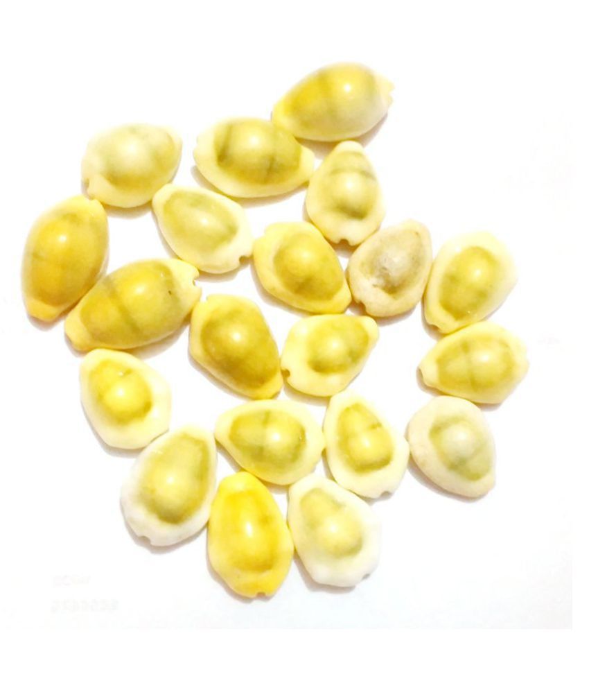     			Yuvi Shoppe Natural Yellow Kaudi | Kowdi | Cowrie | Yellow Koudi Peeli | Yellow Kawri Kodi Peeli Cowrie Sea Shell | Laxmi and Diwali Pooja Article Kaudi Shells (Natural Yellow) - Set of 11 pcs