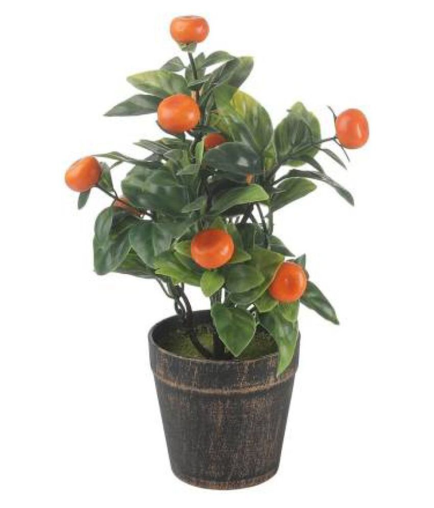 Magic of Gifts Artificial Orange Bonsai Tree Orange Bonsai Plastic ...