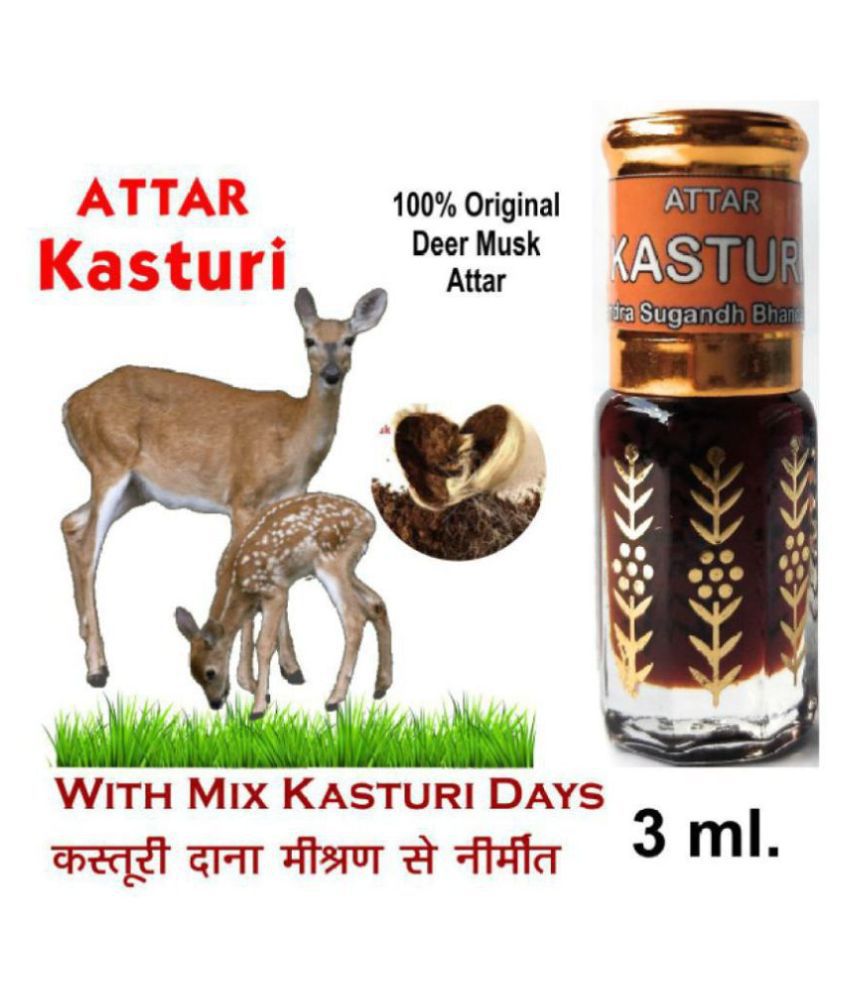    			INDRA SUGANDH BHANDAR - Long-Lasting & Natural Kasturi Attar For Men & Women 3ml Pack Of 1