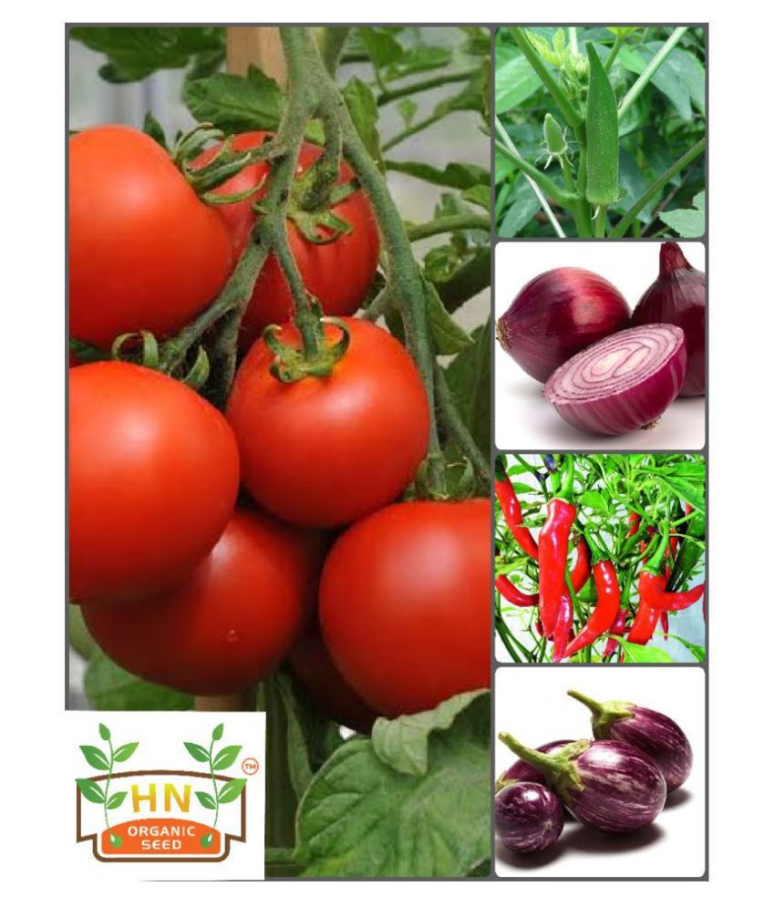     			Vegetable Seeds combo for all Season - 65 + seed with Instruction Manual
