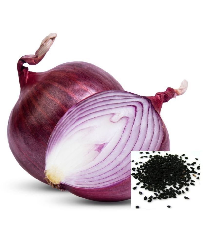     			OLD STORE RED ONION 500 FRESH SEEDS PACK WITH MANUAL