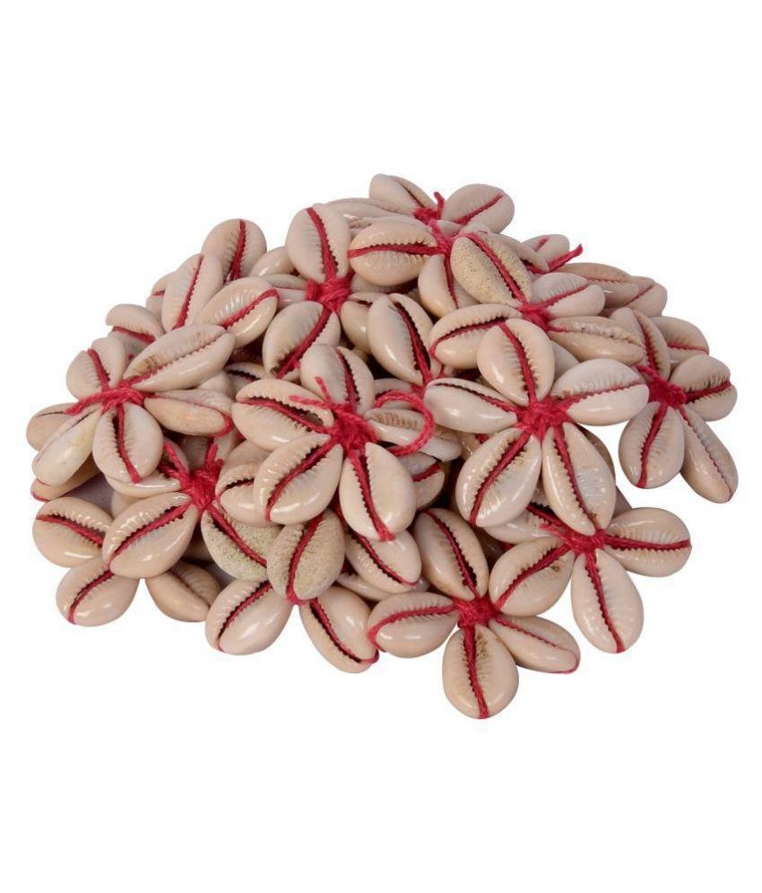     			Sea Shells Kowrie Hand Made Flowers,15 pcs, Size 4.5 cm x 4.5 cm, Red Color, Used in Dresses,Suits, Home Decor, Art & Craft, Gift Wrapping
