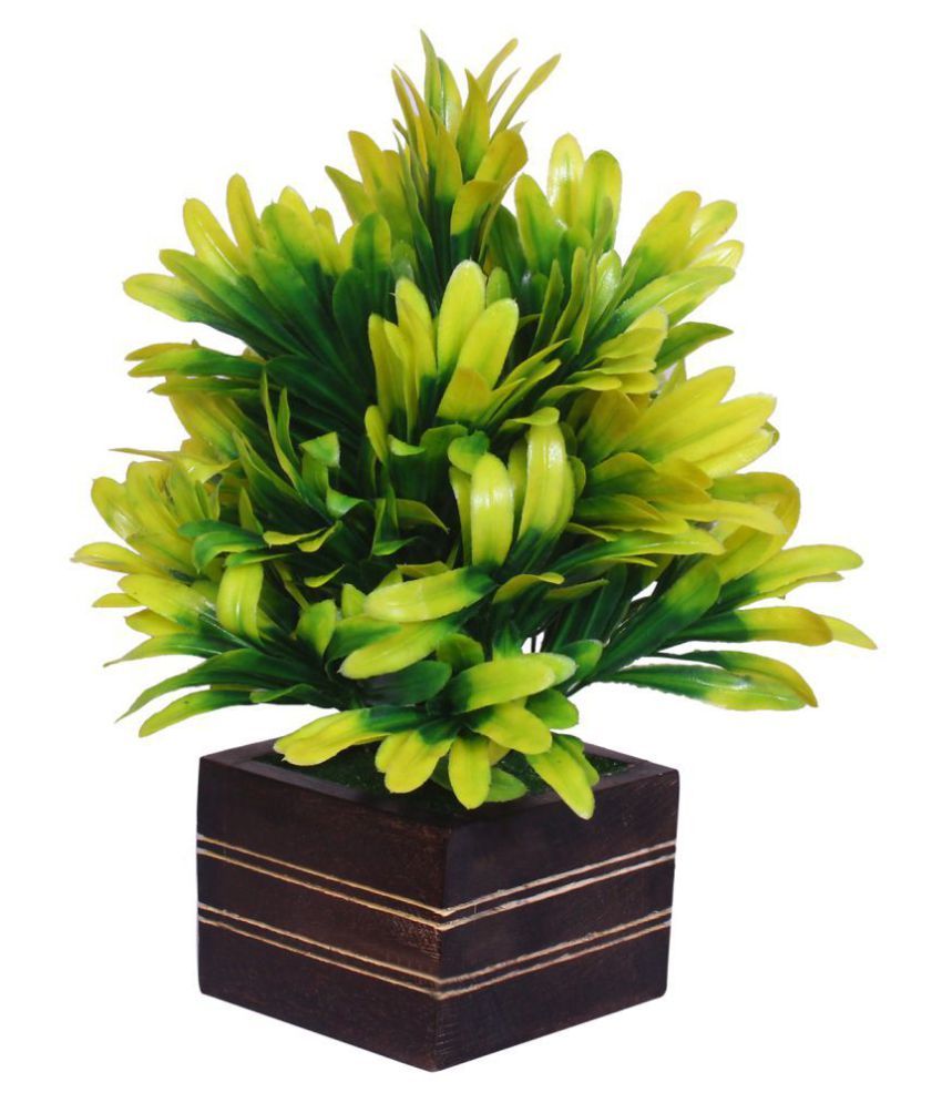     			MODO Artificial Plant With Square Wooden Pot  Yellow Bonsai Plastic - Pack of 1