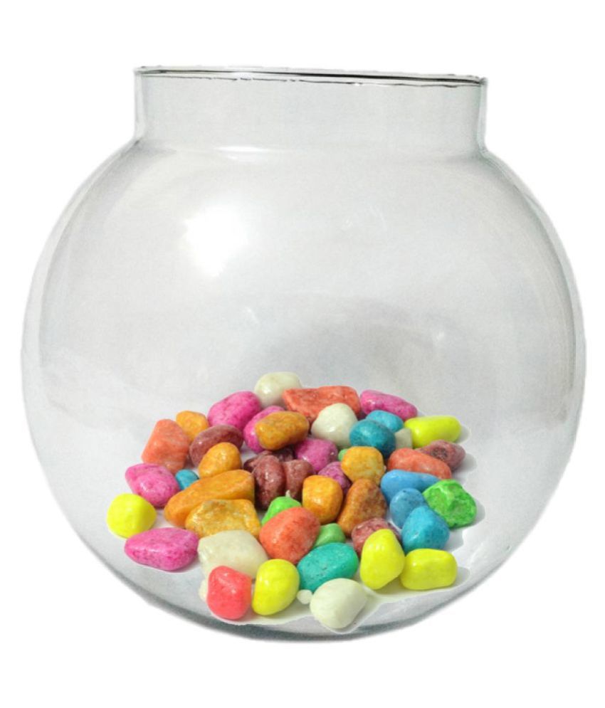     			Somil Transparent Round Glass Fish Pot For Zoom View With Colorful Stones, 6 Inch Table Top