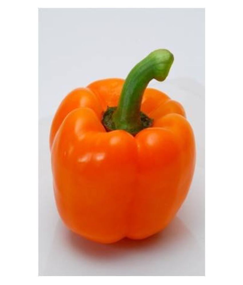 Omaxe Imported Capsicum Orange Hybrid Vegetable Seeds30 Seeds Buy