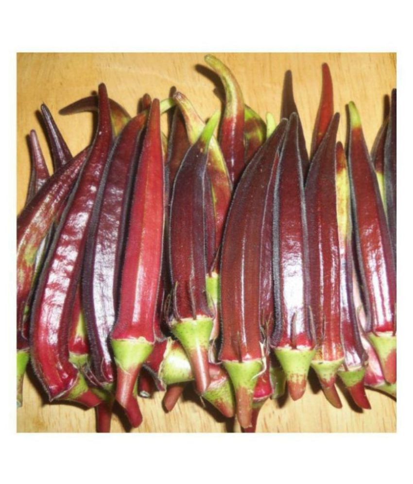     			Green India Vegetables Okra/Bhindi Hybrid Seeds - 50 seeds/Pack