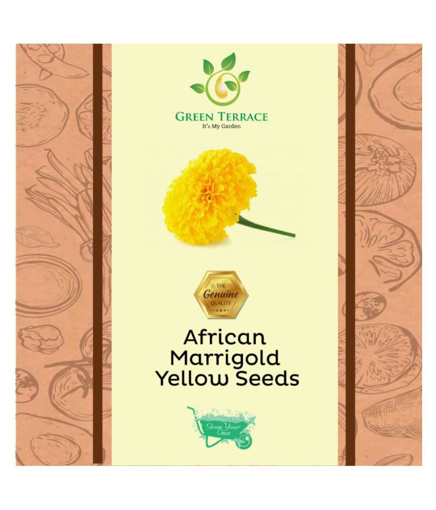 Premium African Marigold (Genda) Yellow Seeds (50 seeds)