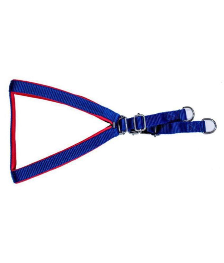     			Tame Love - Blue Dog Harness (Small)