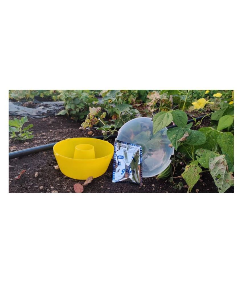 Green Revolution Pack of 20 McPhail Melon Fruit Fly Trap (Bactrocera