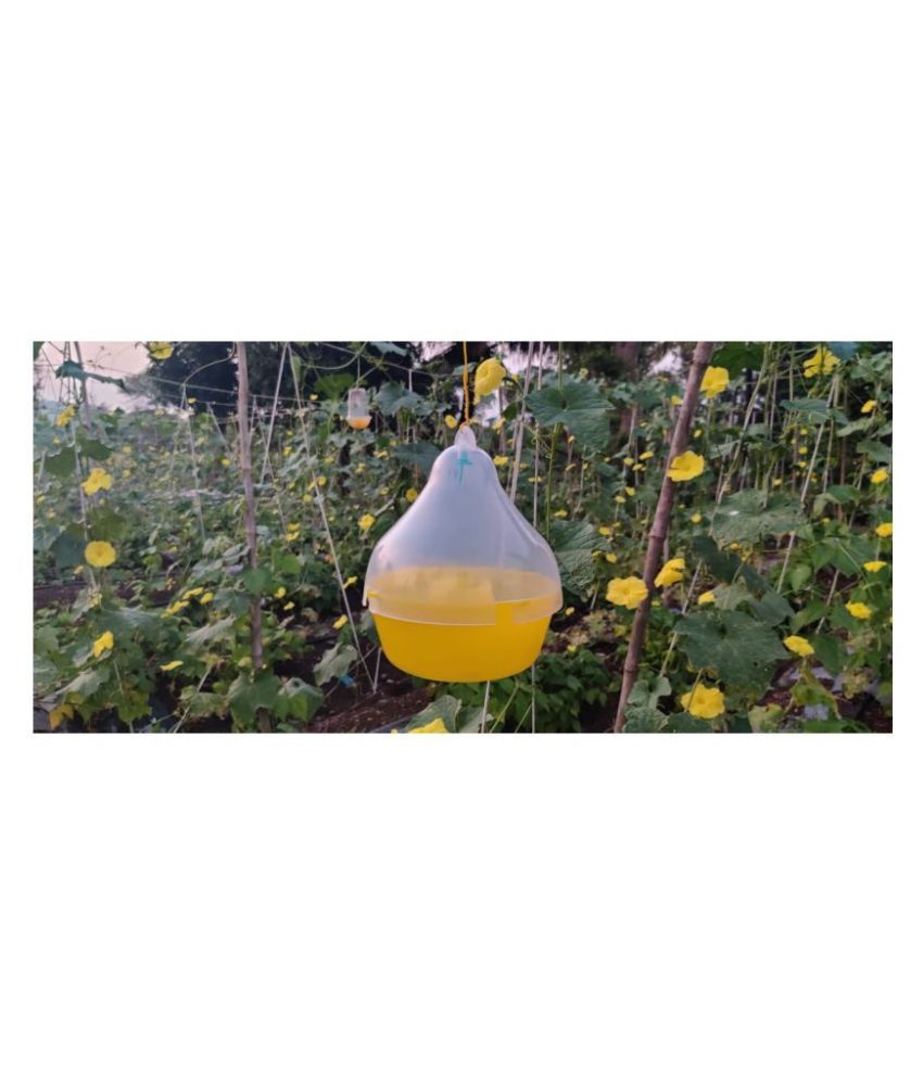 Green Revolution Pack of 20 McPhail Melon Fruit Fly Trap (Bactrocera