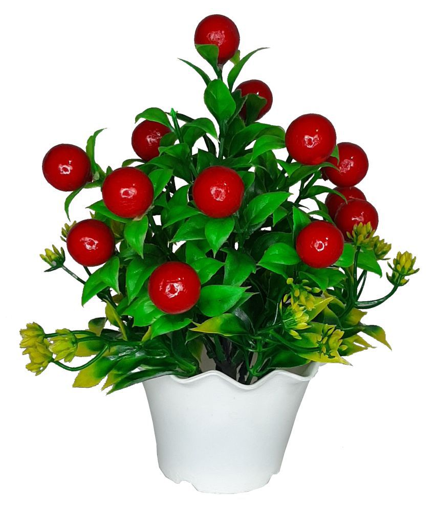     			CHAUDHARY FLOWER Wild Flower Red Flowers With Pot - Pack of 1
