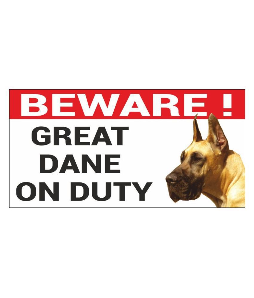 beware of the dog summary