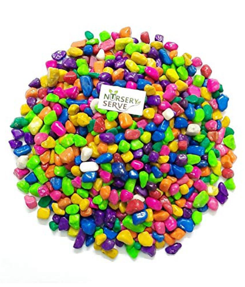     			Somil Multicolor Pabbles/Stone For Garden, Plants, Aquarium & Home Decor Wt. 450g