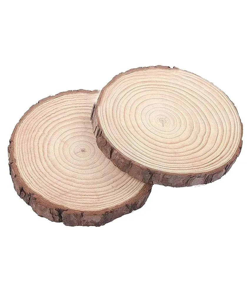 5 Pack 7-9 Inch Natural Wood Slices for Centerpieces, Wood Slice