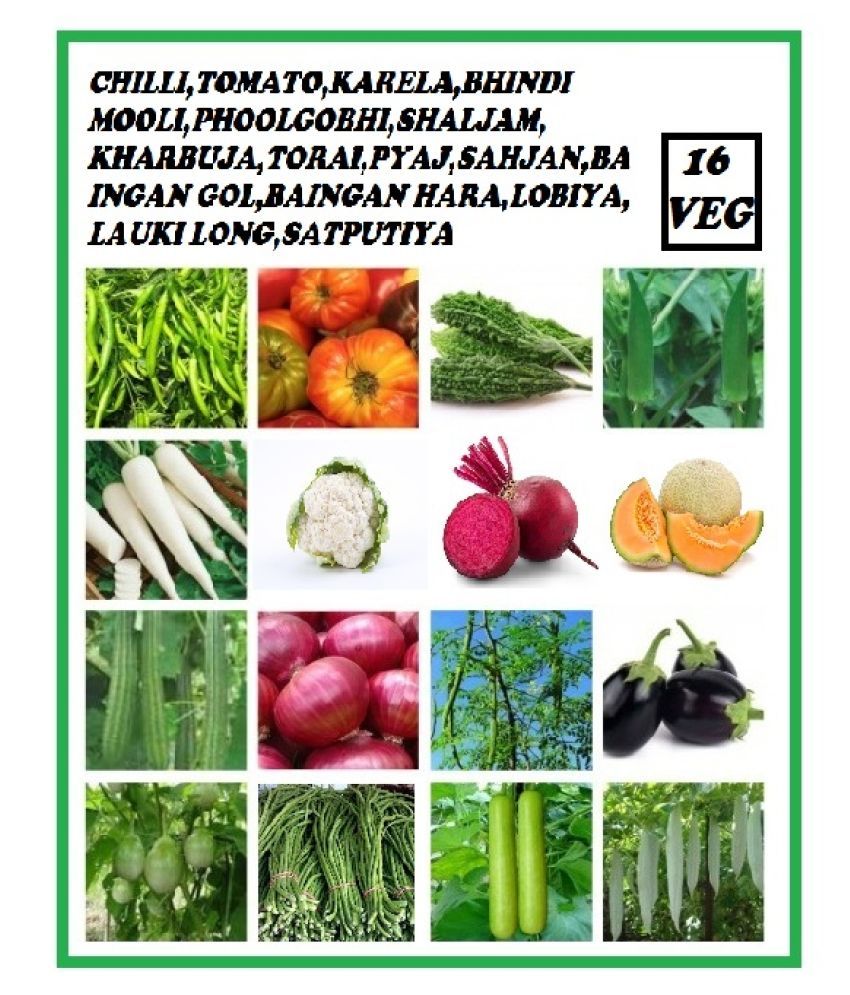     			16 VEGETABLES HIGH GERMINATION SEEDS COMBO FOR HOME GARDENING MORE THAN 200 SEEDS PACK WITH USER MANUAL