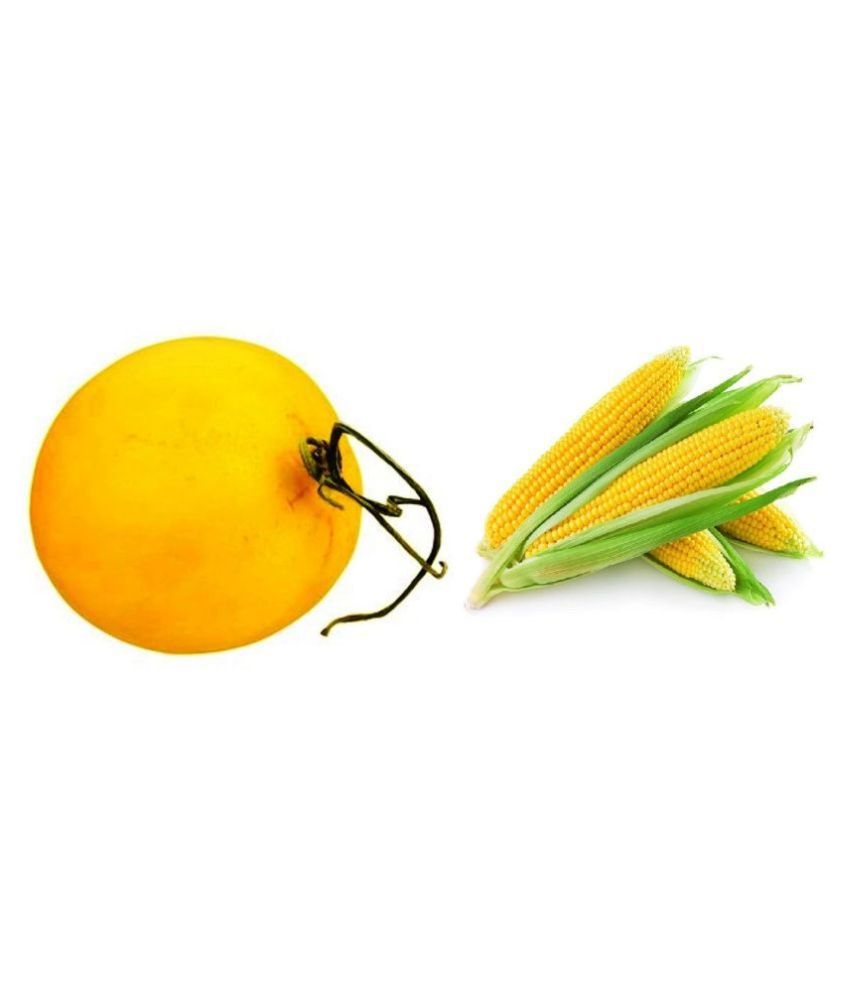 a hybrid cropit produces sweeter fruit