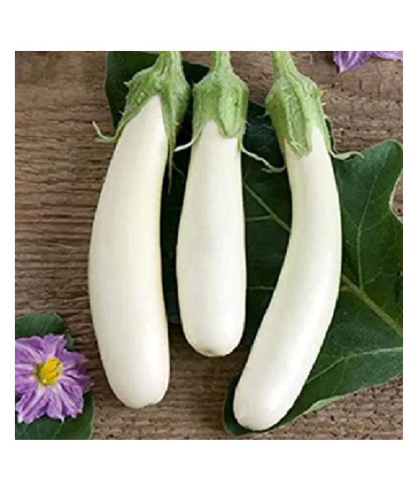     			White Long Brinjal (Bengan) Eggplant Hybrid - 50 Seeds