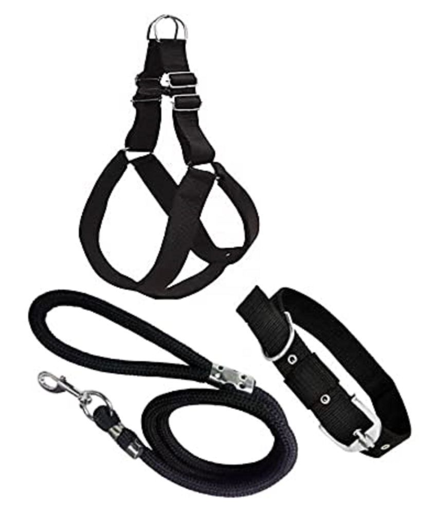     			Smart Doggie Combo Of Padded Chest Belt , Collar and Rope For Your Pet Dogs (0.75 inch)