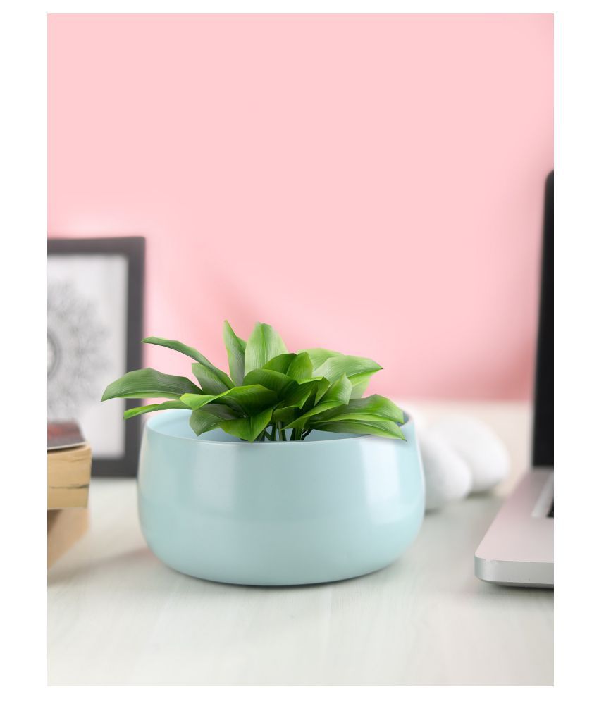 Homspurts Matte Light Blue Metal Flower Pot for Centre Table | Living Room | Dining Table