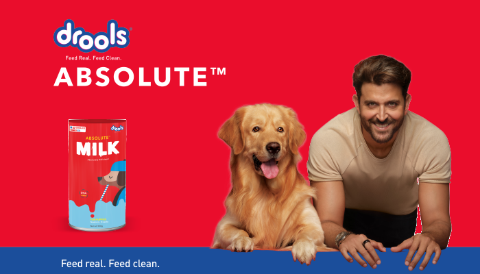 drools puppy milk powder