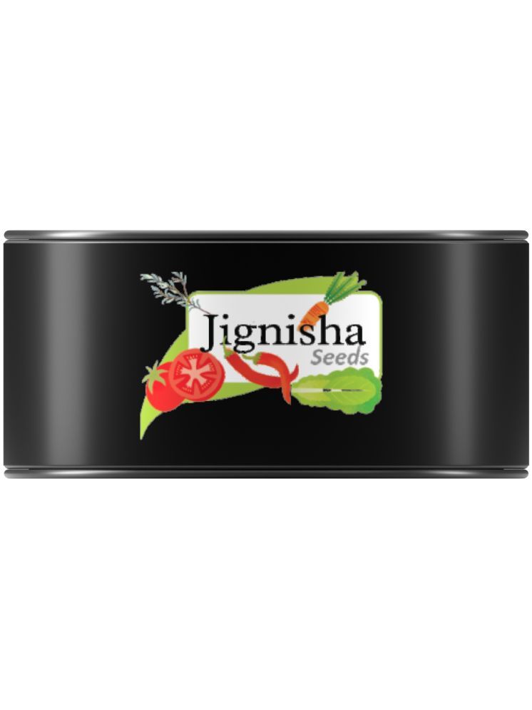     			Jignisha Seeds Hybrid Moringa (Drumstick) Vegetable ( 15 Seeds )