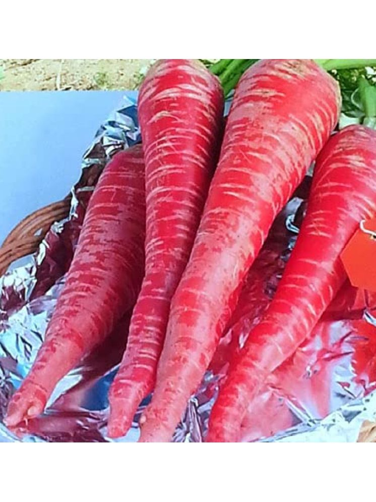     			LiveNature Organic Red Carrot Vegetable ( 1000 Seeds )