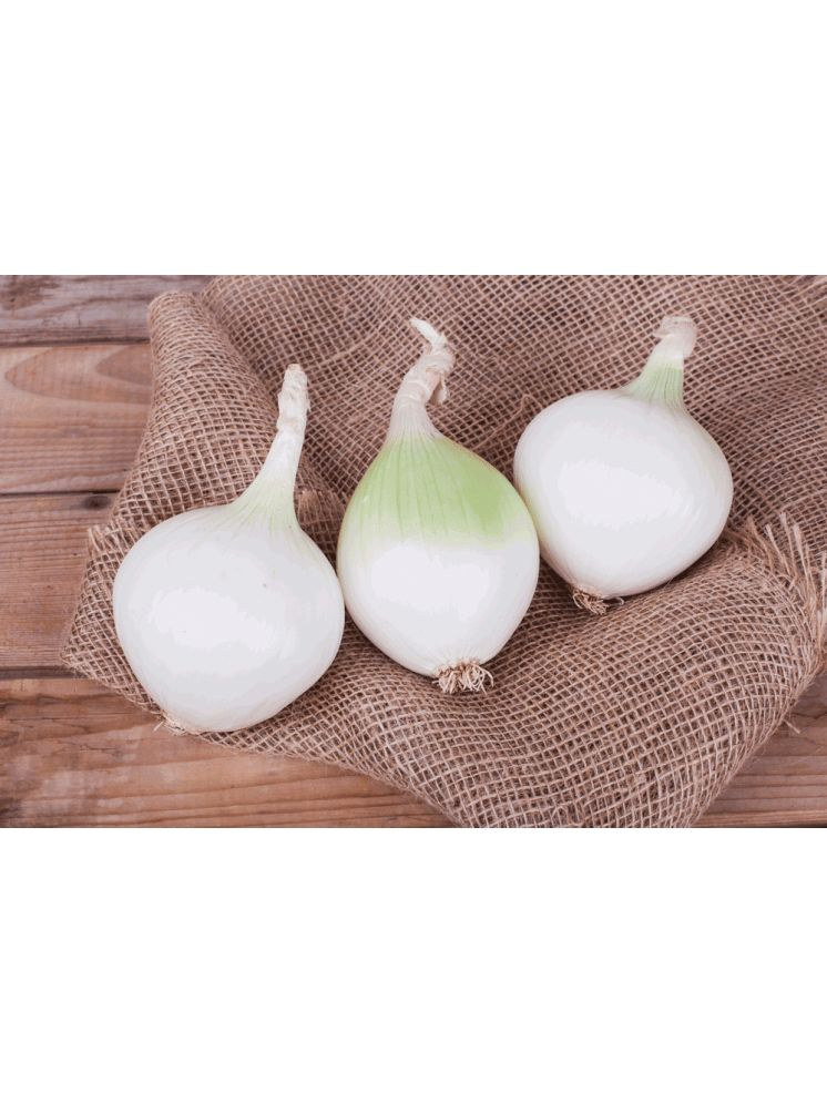     			LiveNature White Onion Vegetable ( 100 Seeds )