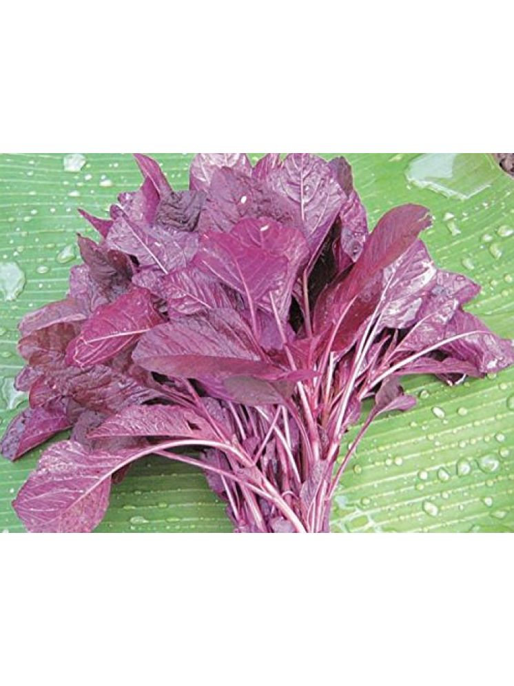     			LiveNature Chaulai (Saag) Vegetable ( 100 Seeds )