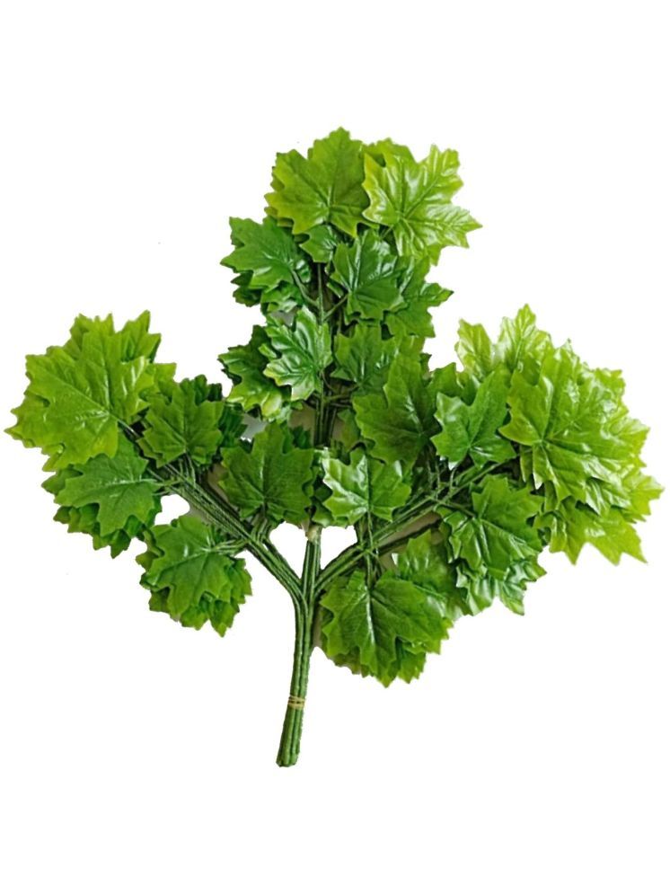     			Green plant indoor - Green Maple Artificial Plants Bunch ( Pack of 12 )