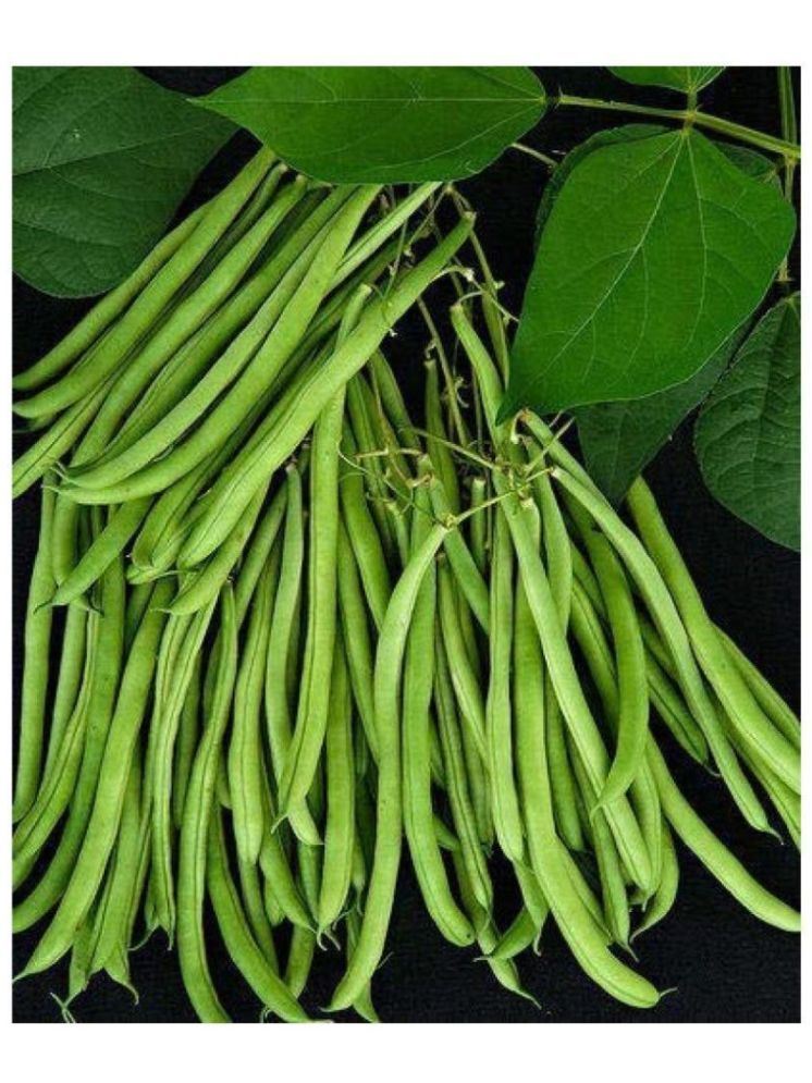     			Vedhahi Beans Vegetable ( 25 Seeds )