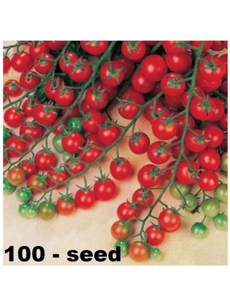     			Vedhahi Cherry Tomato Vegetable ( 100 Seeds )