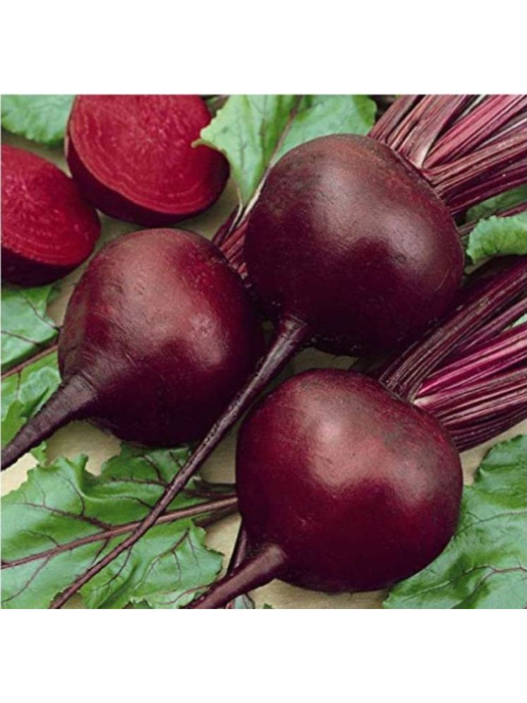     			Vedhahi Hybrid Beetroot Vegetable ( 15 Seeds )