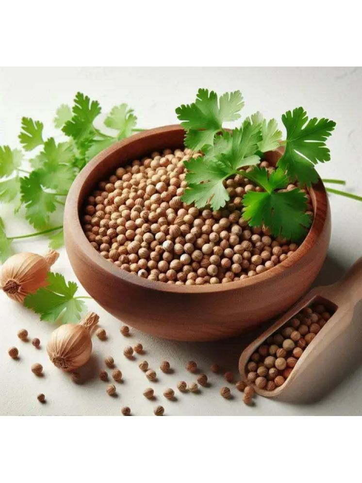     			Vedhahi Organic Coriander Vegetable ( 200 Seeds )