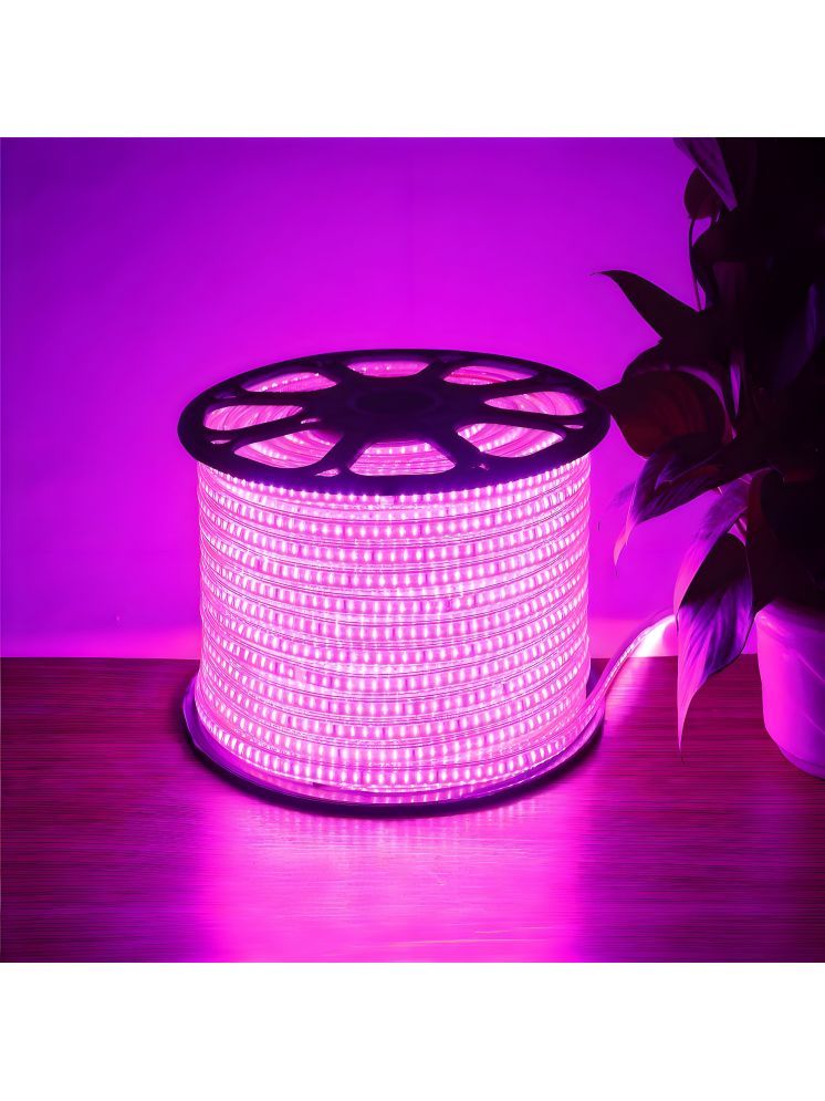     			ZESTRUM Pink 10 Mtr LED Strip ( Pack of 1 )