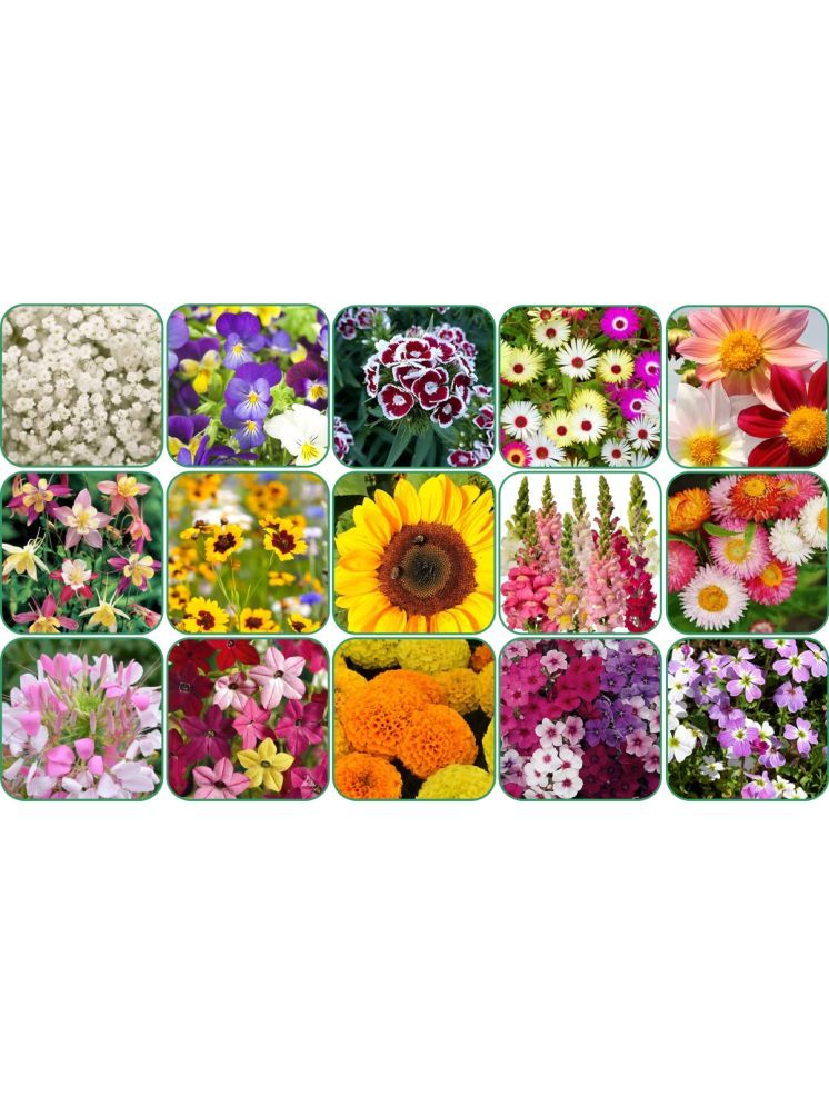     			Aero Seeds 15 variety Flower seeds combo pack with instruction manual.