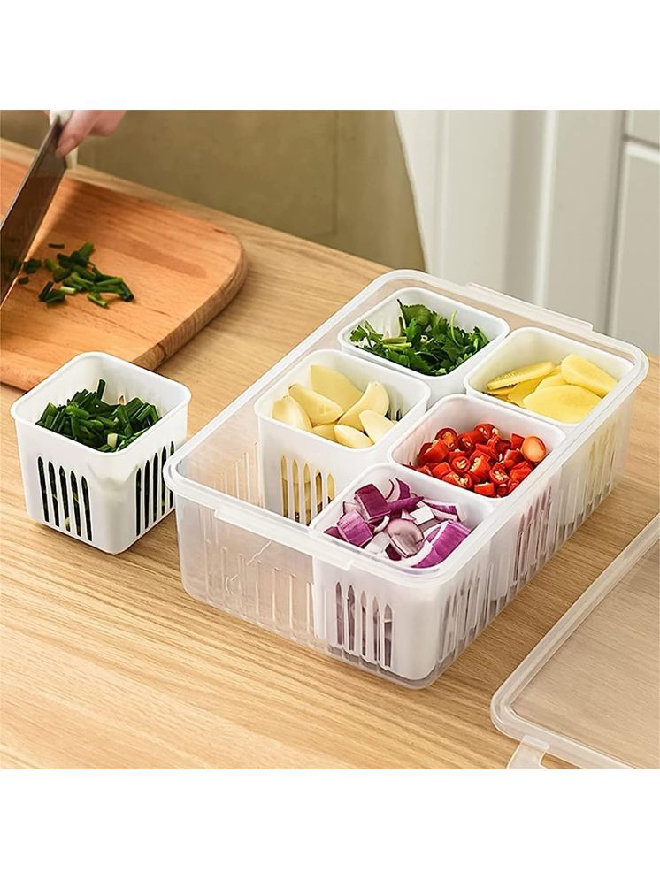     			Avsar Fridge Plastic White Multi-Purpose Container ( Set of 1 )