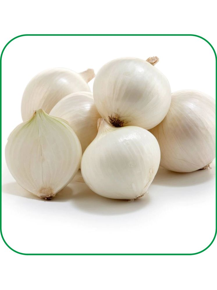     			Aero Seeds White Onion Vegetable ( 50 Seeds )