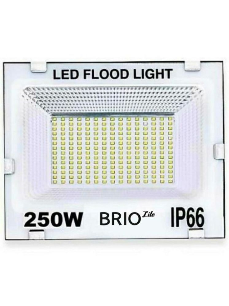     			ZESTRUM Cool Day Light 250 Watts Flood Light ( Pack of 1 )