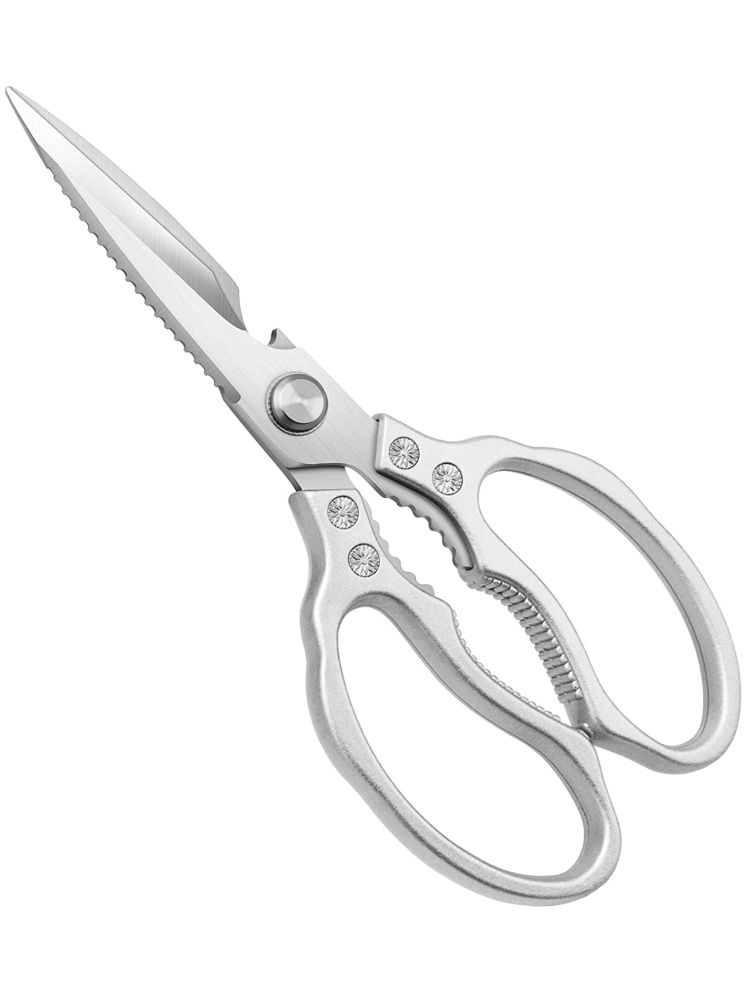     			BLUE HOME AND KITCHEN Stainless Steel Multipurpose Scissors ( Pack of 1 )