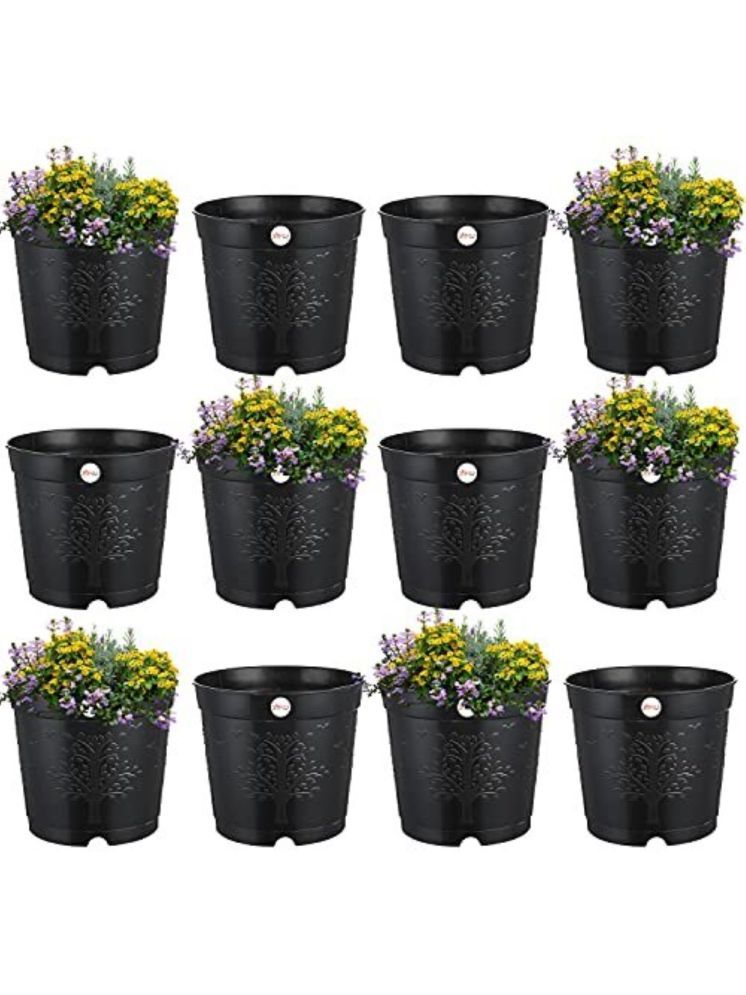     			10Club Black Plastic Flower Pot ( Pack of 12 )