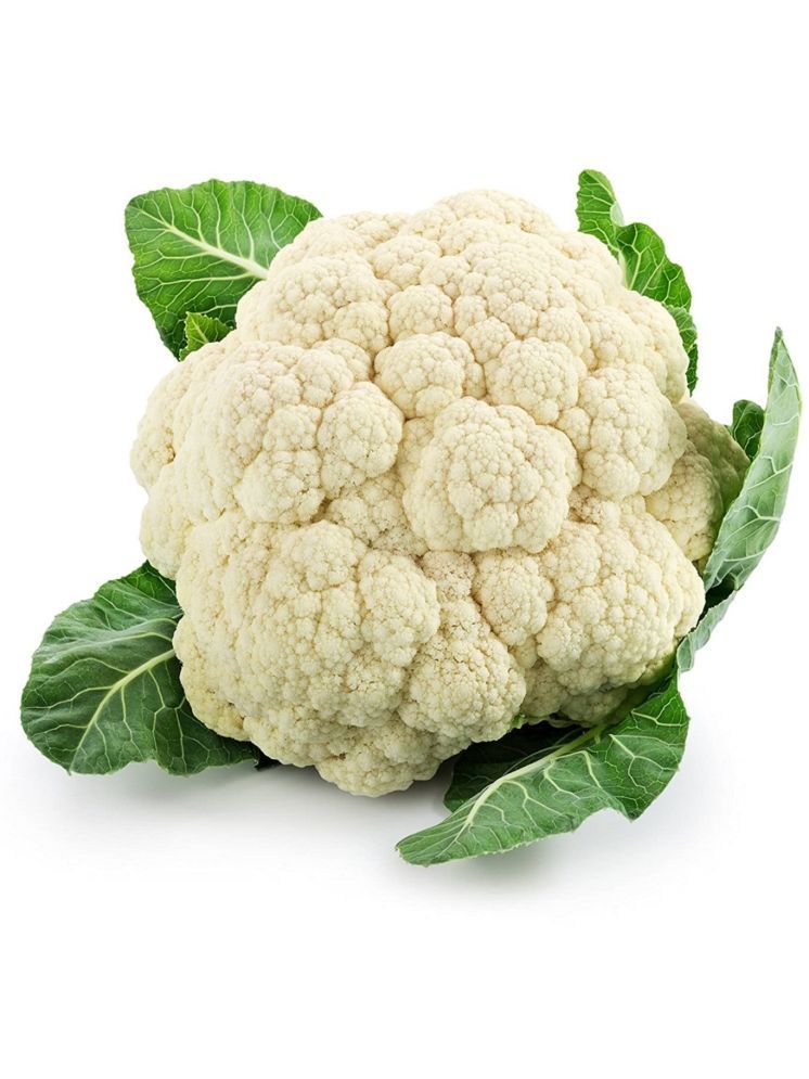     			Jignisha Seeds Cauliflower Vegetable ( 50 Seeds )