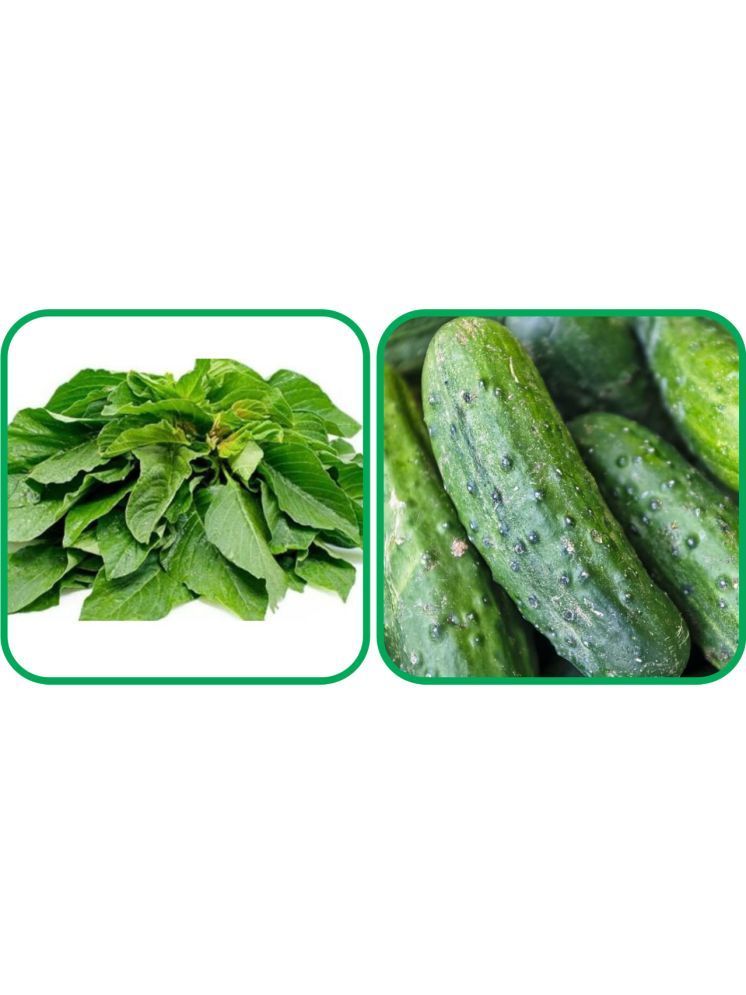     			Aero Seeds Cucumber ( 30 Seeds) And Green Amaranth ( 200 Seeds) Vegetable Seeds Pack