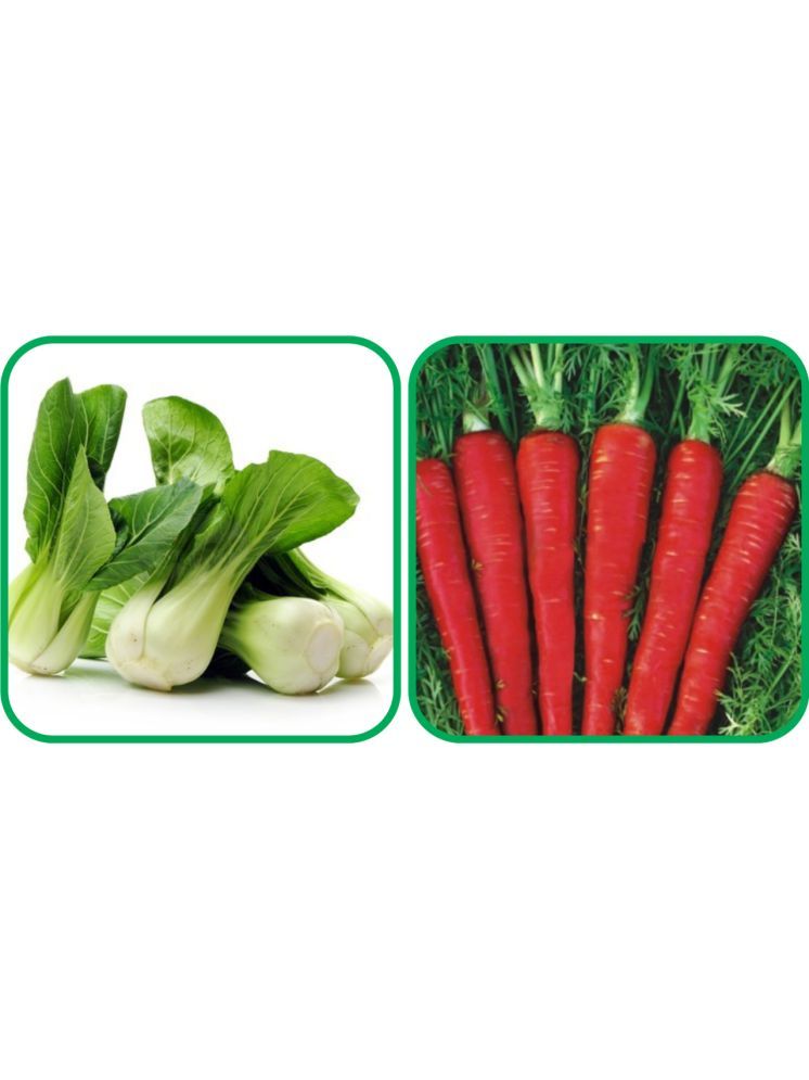     			Aero Seeds Red Carrot ( 200 Seeds) And Pak Choi ( 50 Seeds) Vegetable Seeds Pack