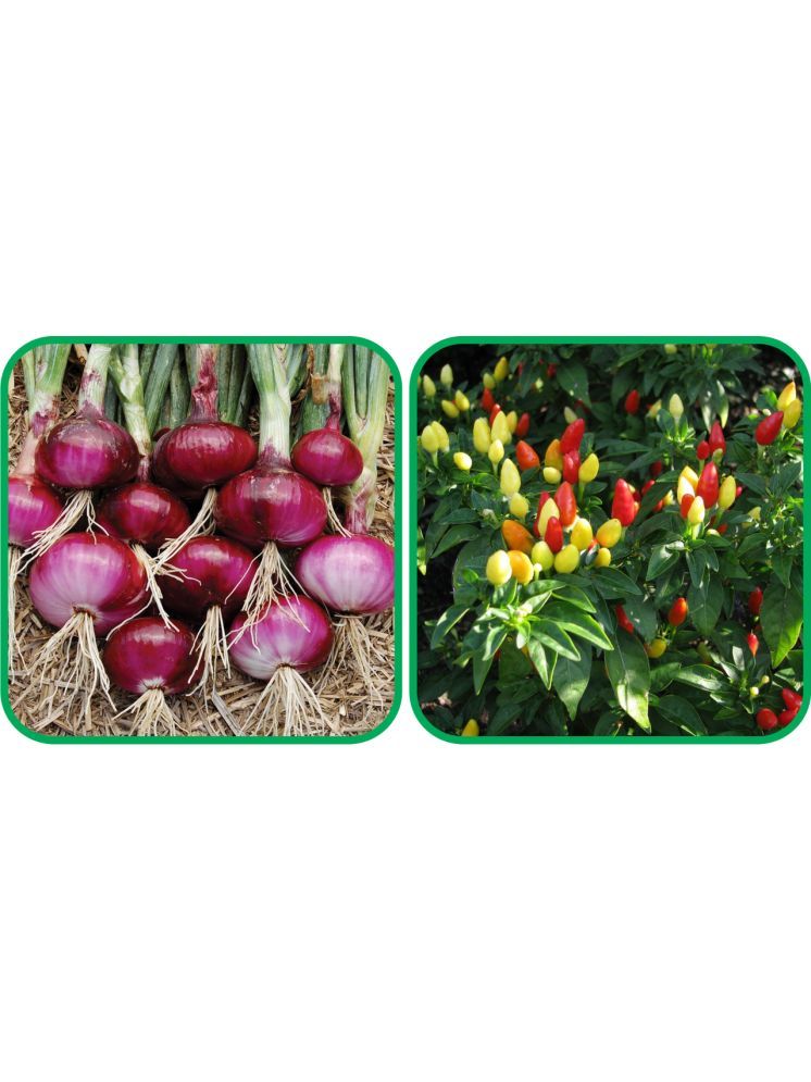     			Aero Seeds Ornamental Chilli ( 30 Seeds) And Red Onion ( 200 Seeds) Vegetable Seeds Pack