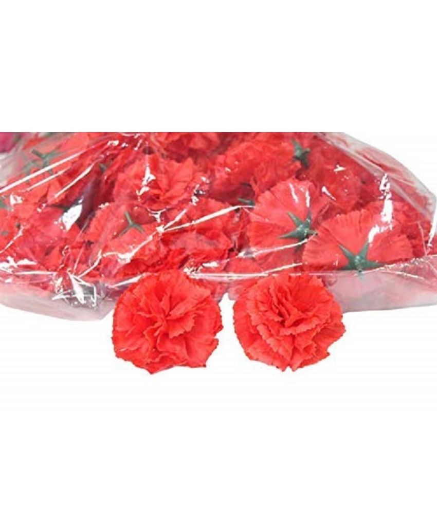     			Green plant indoor - Red Carnations Artificial Flower ( Pack of 1 )