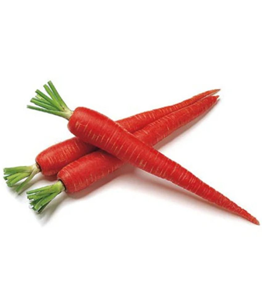     			PARTHVA SEEDS Organic Red Carrot Vegetable ( 150 Seeds )