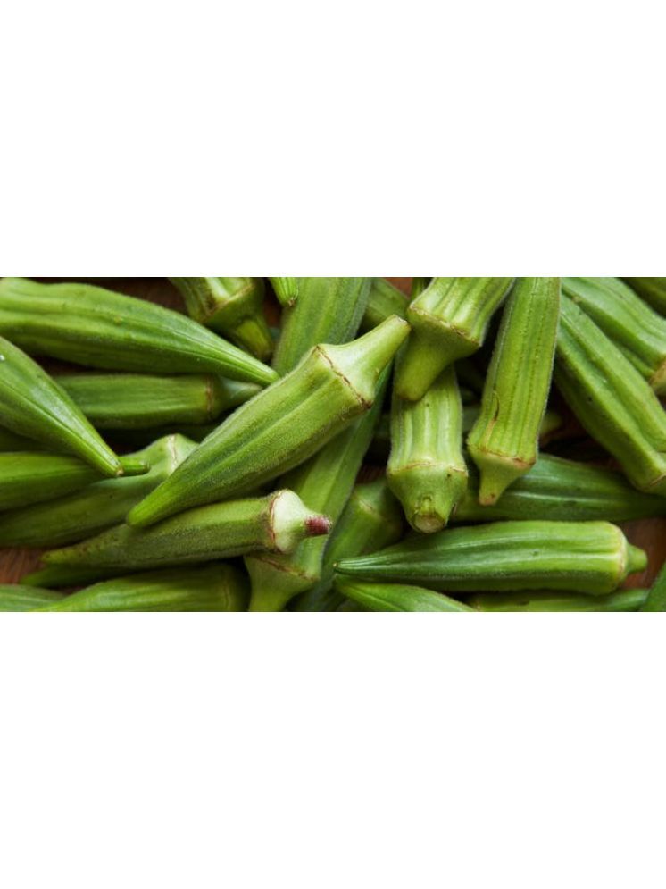     			JAPURA Organic Okra Vegetable ( 100 Seeds )