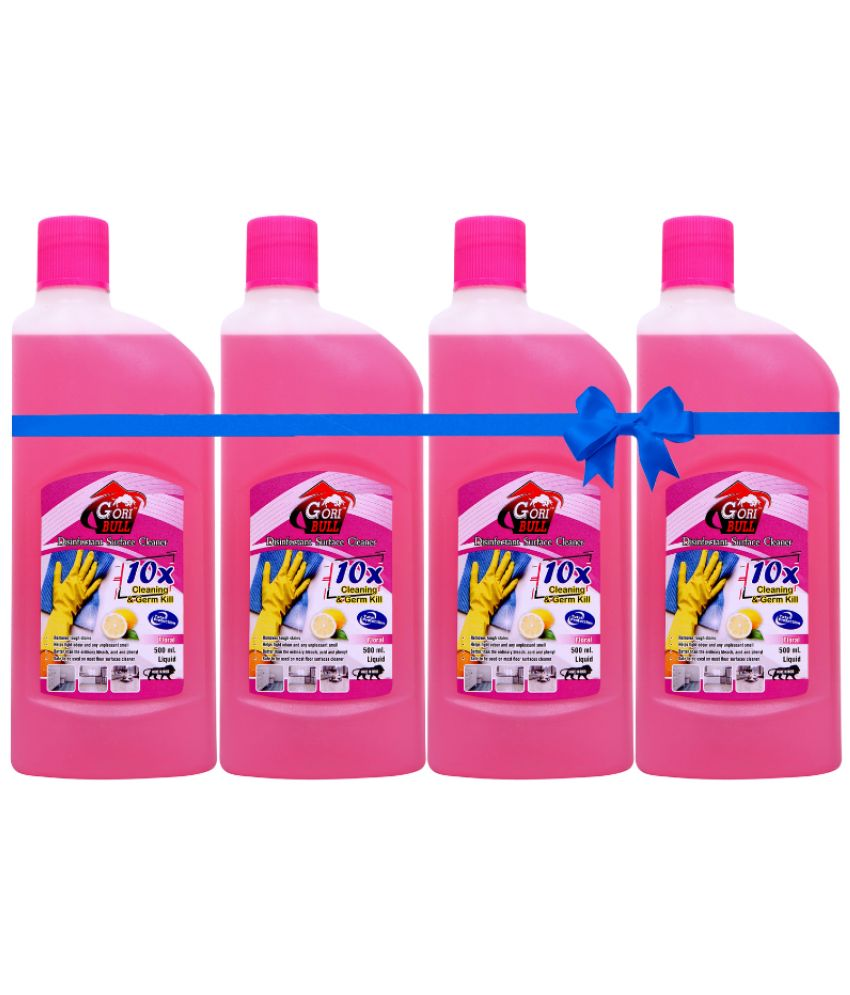     			GORIBULL GORIBULL Disinfectant Floor Cleaner FLORAL 2 kg Pack Of 4